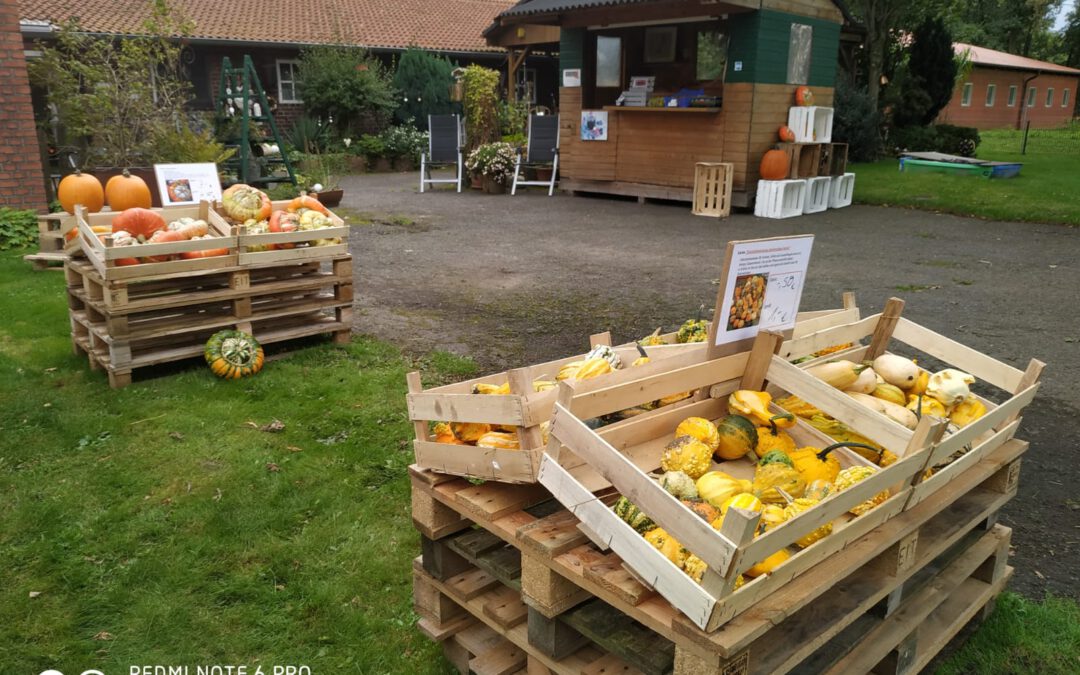 Es gibt Neuigkeiten auf dem Hof May-Kürbisse, herbstliche Gestecke und Haselnüsse!