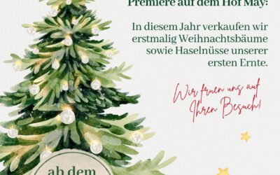 Weihnachtsbaumverkauf und mehr…