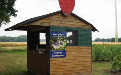 Die Blaubeersaison 2018 ist eröffnet